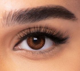 FRESHLOOK MONTHLY COLORBLENDS BROWN 2’S Contact Lenses